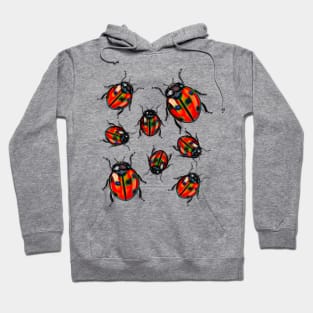 Flying Bug Of The Virgin Mary Hoodie